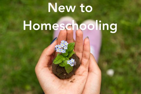 Hands holding a small seedling: New to Homeschooling